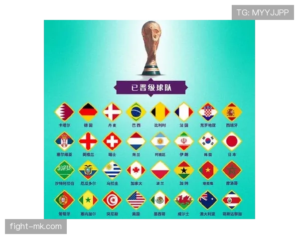 新西兰无缘世界杯32强：G组收官结果确定
